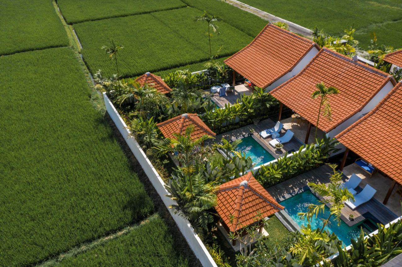 Sawah Villas Ubud Extérieur photo