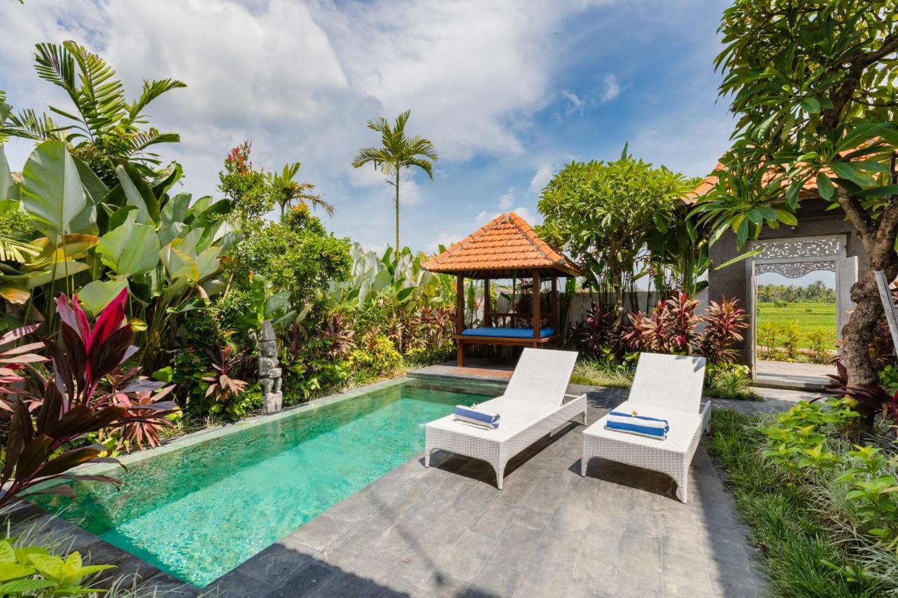 Sawah Villas Ubud Extérieur photo