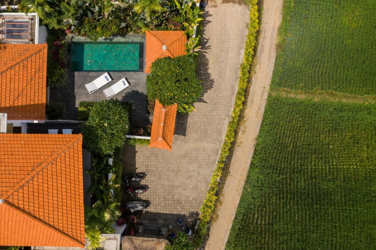 Sawah Villas Ubud Extérieur photo